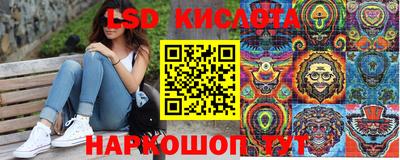 гашик Кулебаки