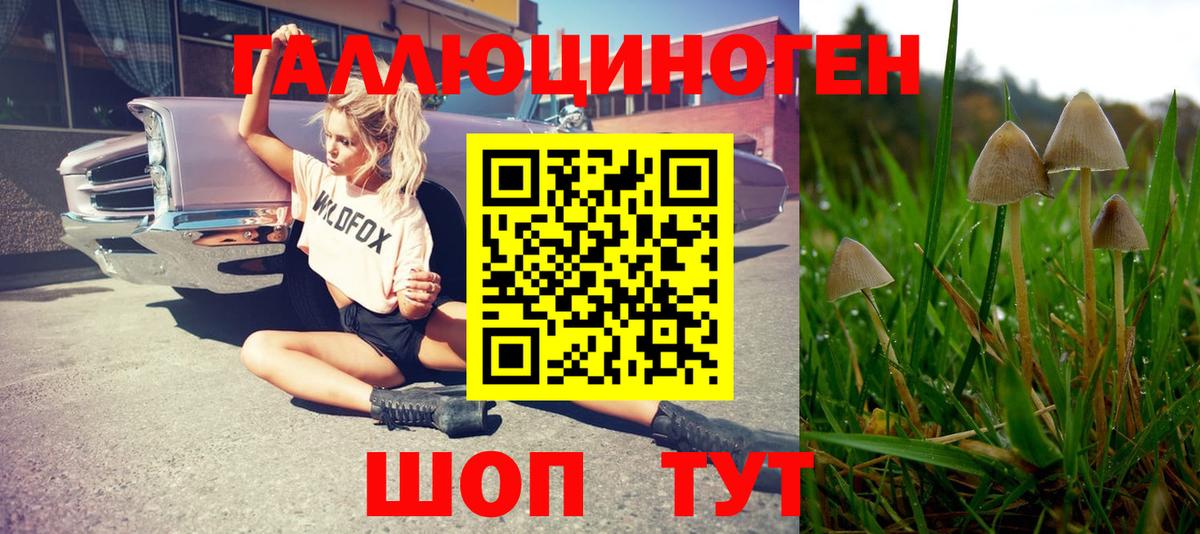 закладки  Галлюциногенные грибы мухоморы  Вход с VPN  Вышний Волочёк 