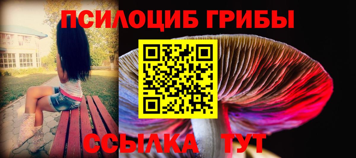 Псилоцибиновые грибы Psilocybine cubensis Вышний Волочёк